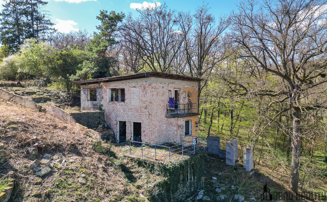Prvorepubliková vila s pozemkem 5 181 m² v Želešicích - 13