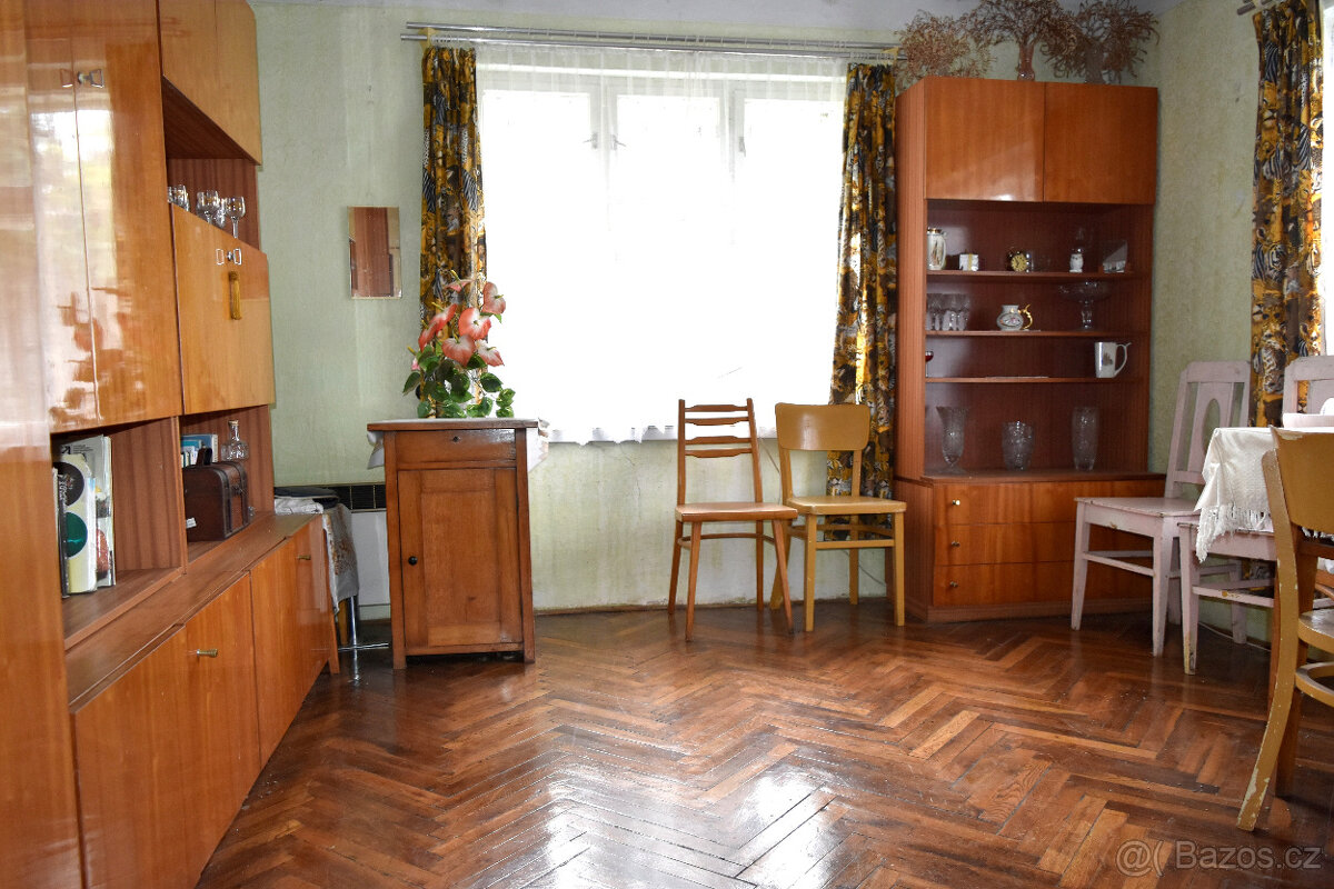 Janov - zemědělská usedlost se stodolou a pozemky 11 612 m2 - 13