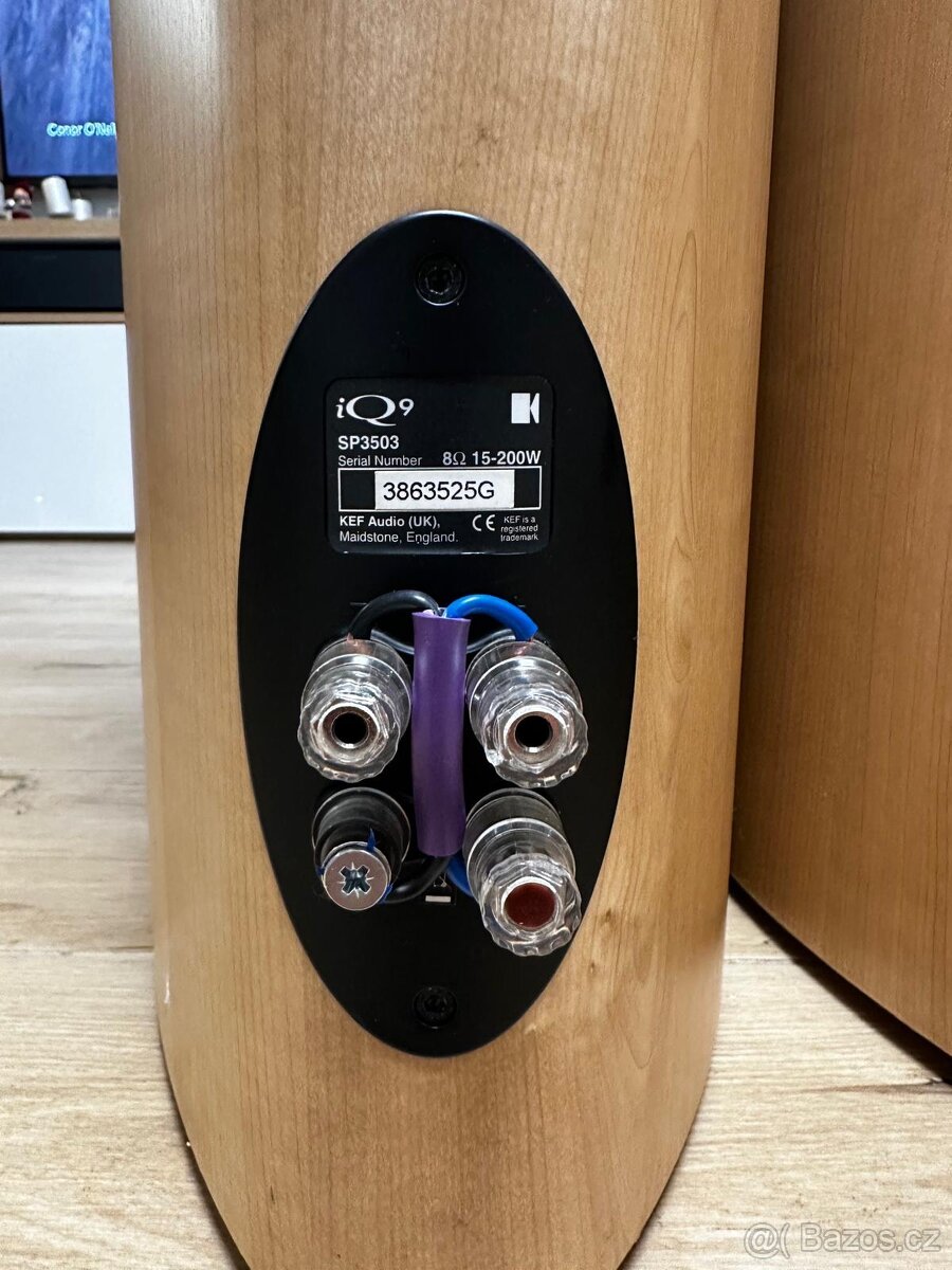 KEF IQ9 - 13