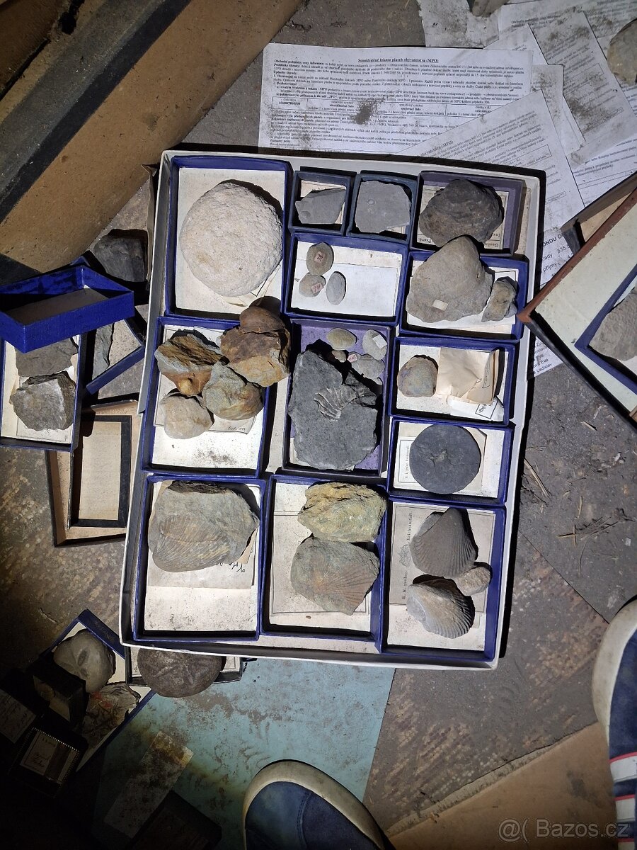 Zkameneliny a Minerály - 13