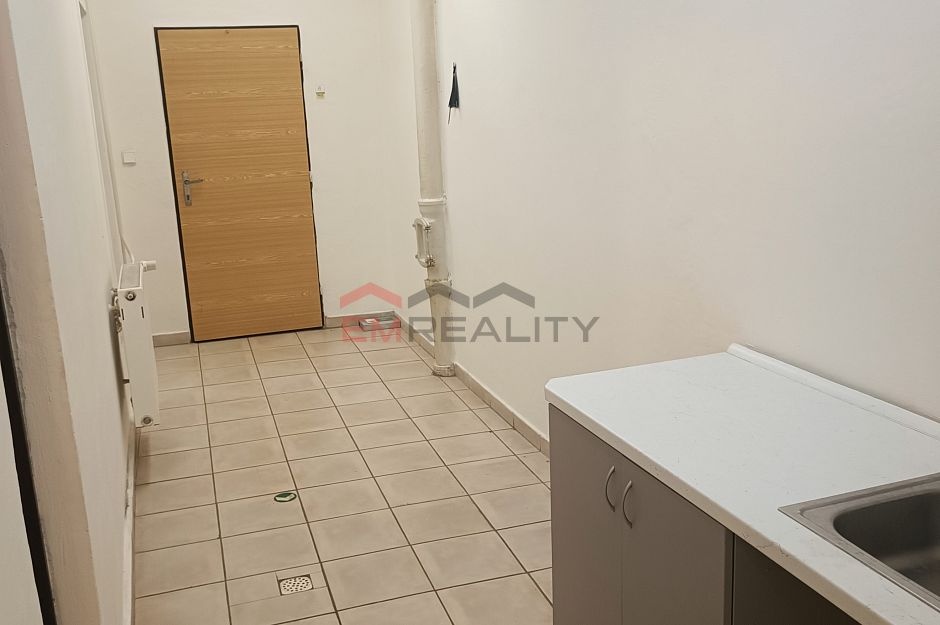 Pronájem komerčních prostor - 13