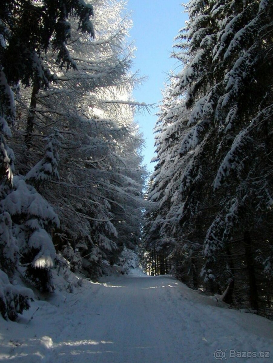 US army canteen - 13