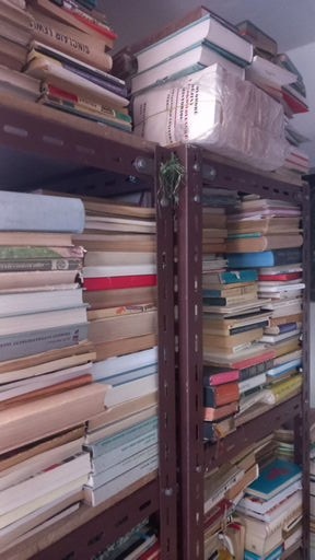 Prodám hodně knih více než 1000 kusů - 13