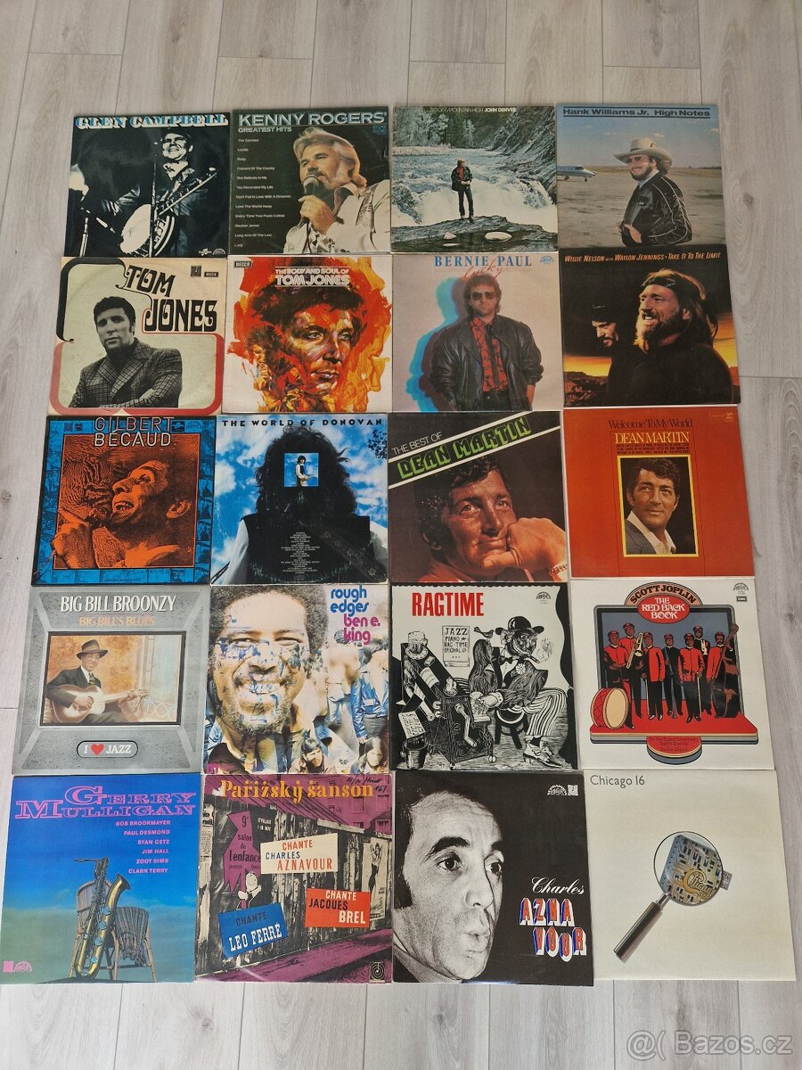 Velké množství lp desek - 13