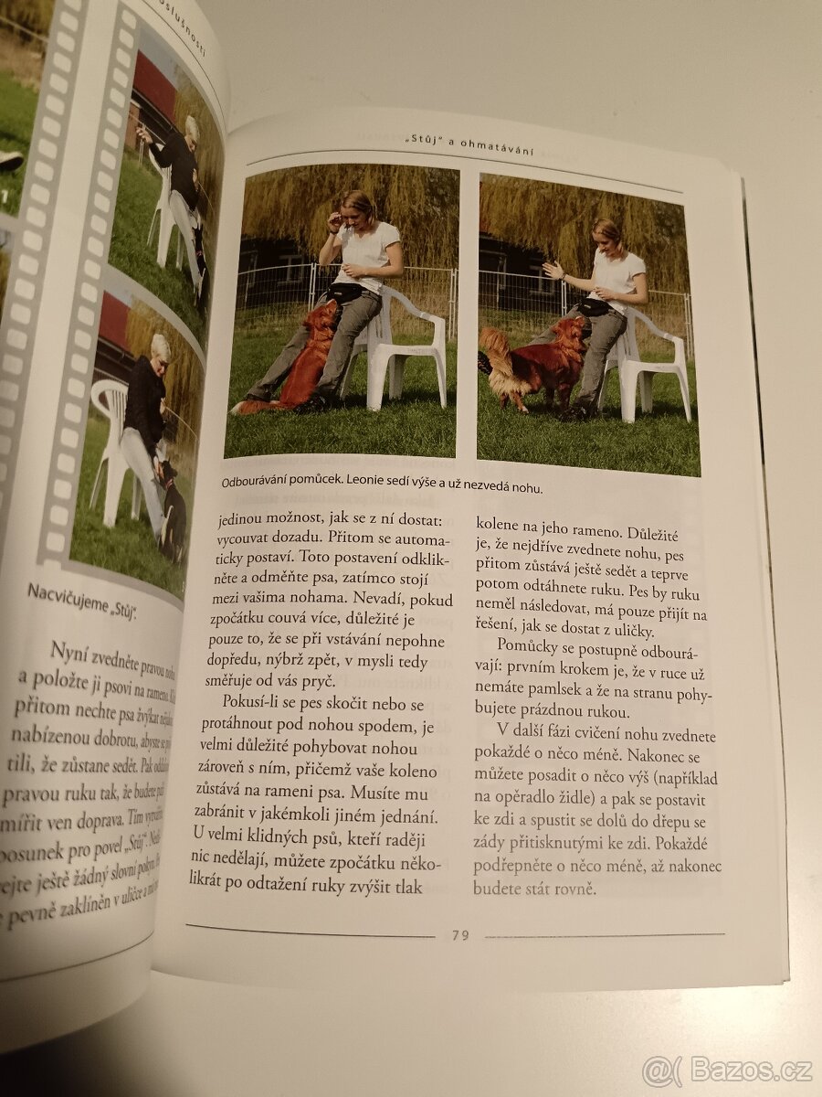 Výcvik psa k dokonalé poslušnosti - 13