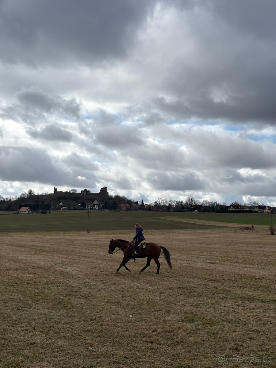 Pronájem Valáška - 13