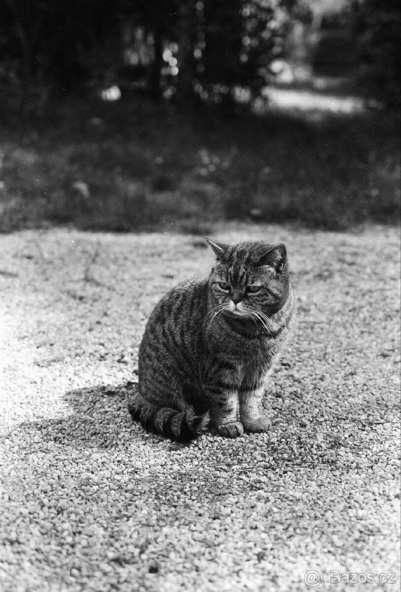 Olympus OM40 + objektivy tokina + motor - 13