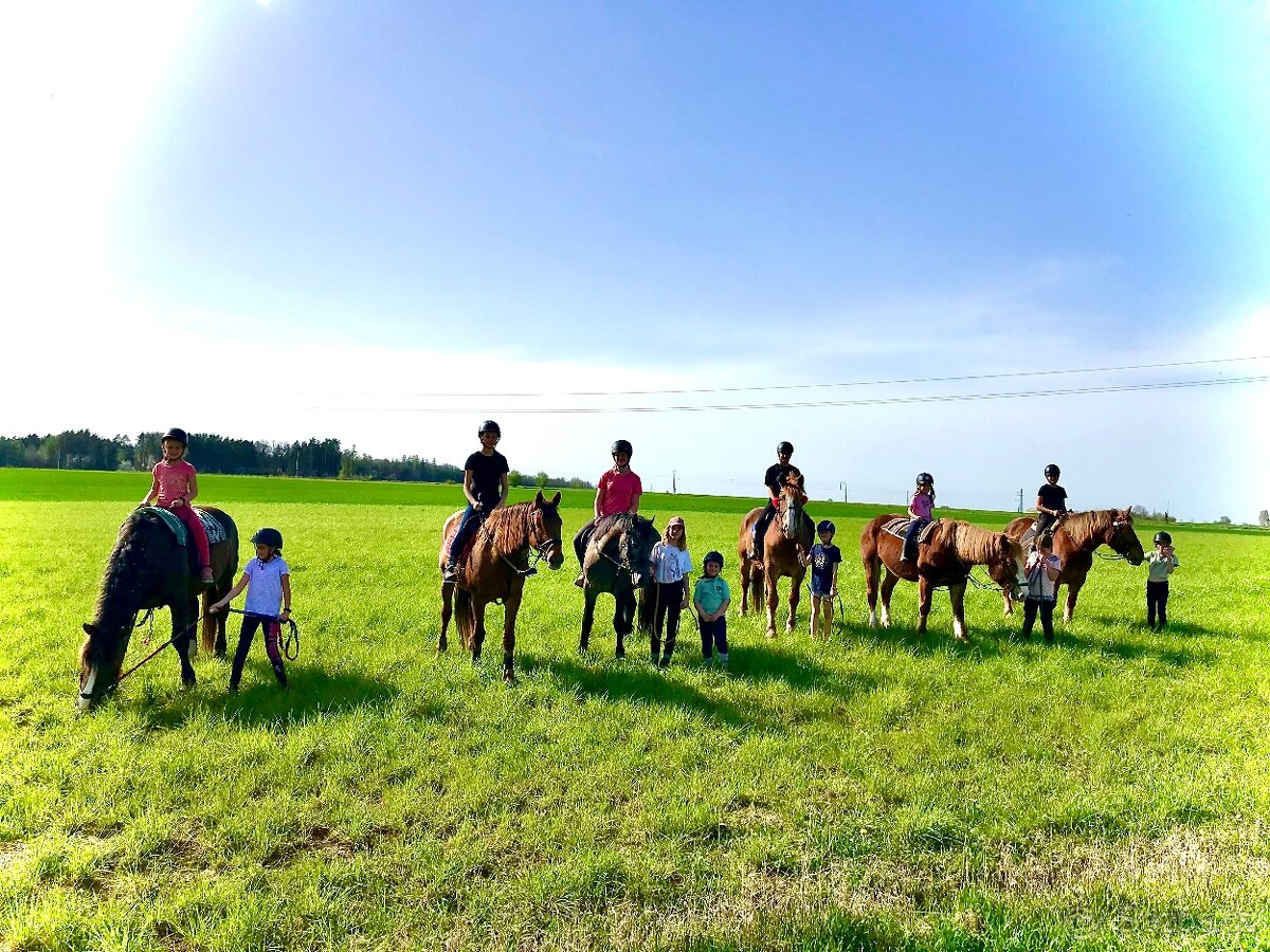 Jízda na koni, jízda kočárem, kroužek, voltiž, tábory - 13