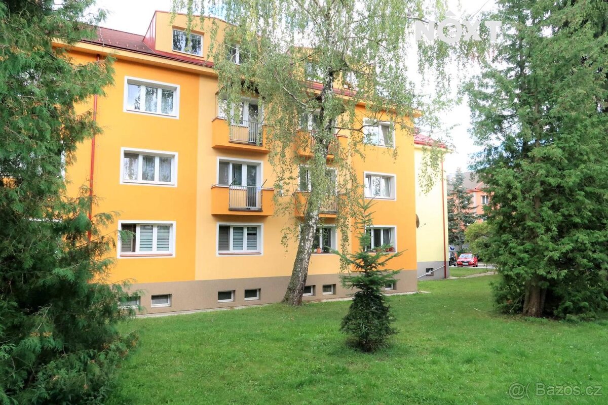 Pronájem byt 2+1, 58㎡ - 13