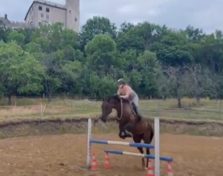 Zdravá sportovní Klisna 14 let - 13