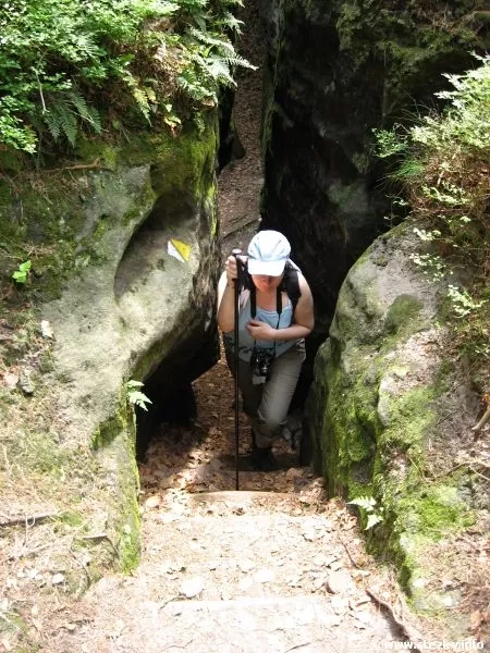 Nabízím ubytování v karavanu, Mšeno u Mělníka - 13