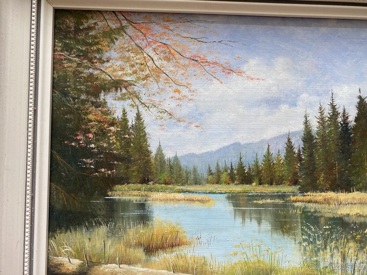 obraz starý obraz olejomalba krajinka obraz Šumava - 13