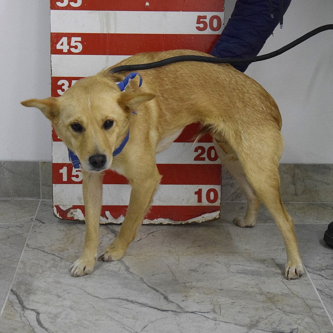 Odysea hledá domov - 13