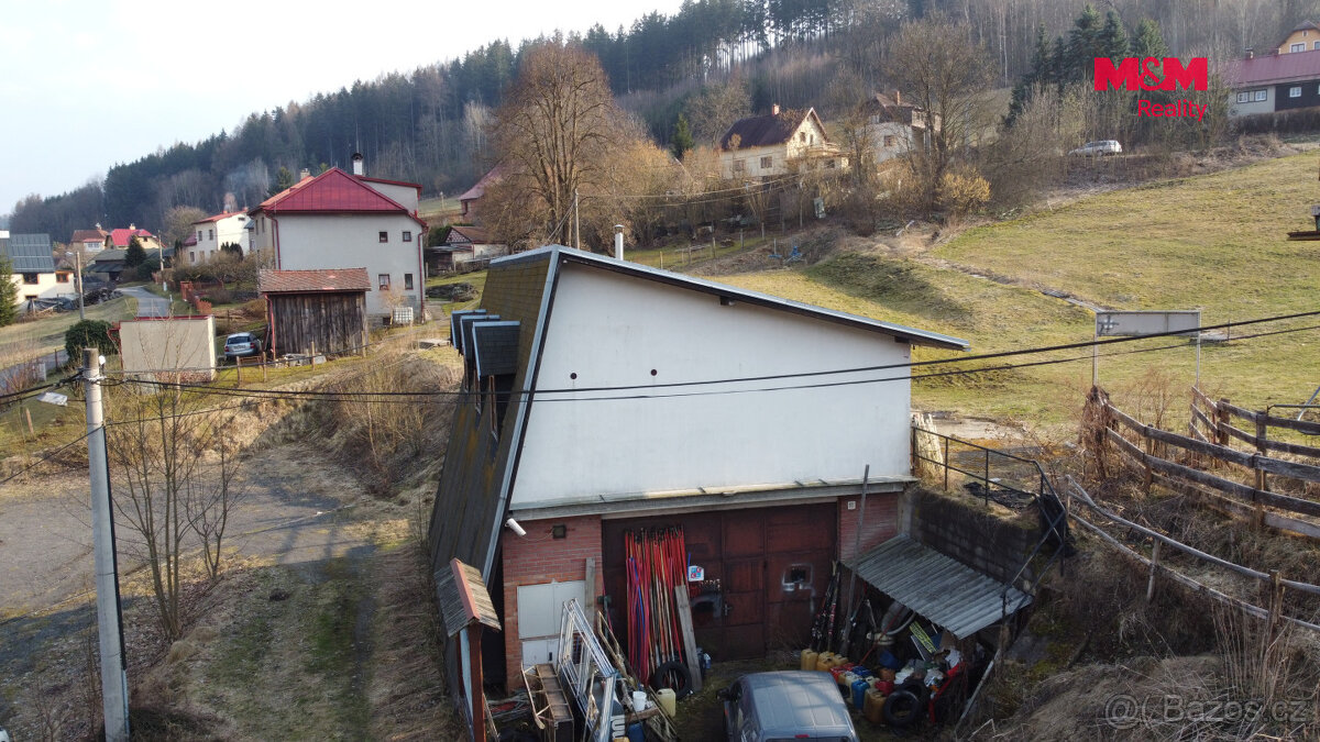 Prodej, komerční objekt, Plavy - 13
