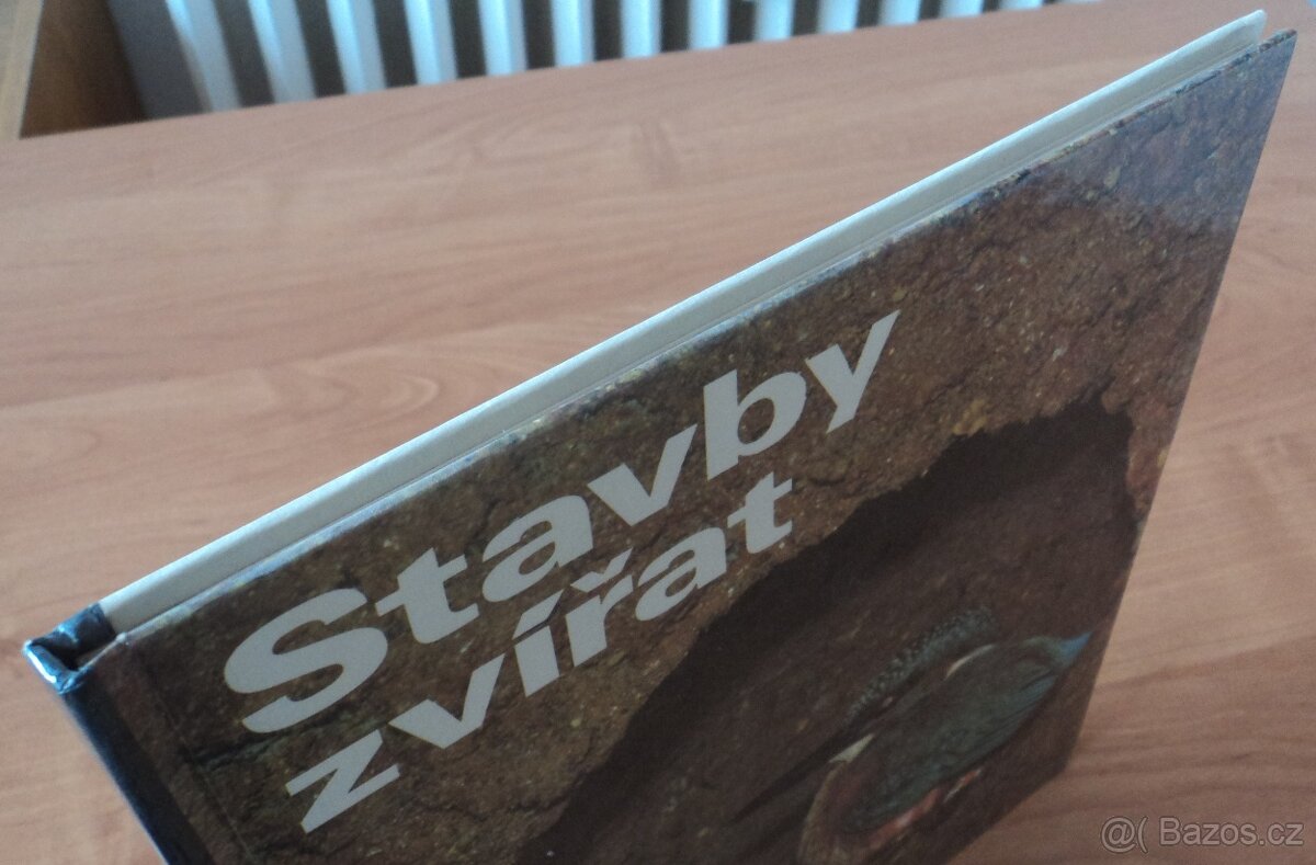 Psi, Stavby zvířat - 13