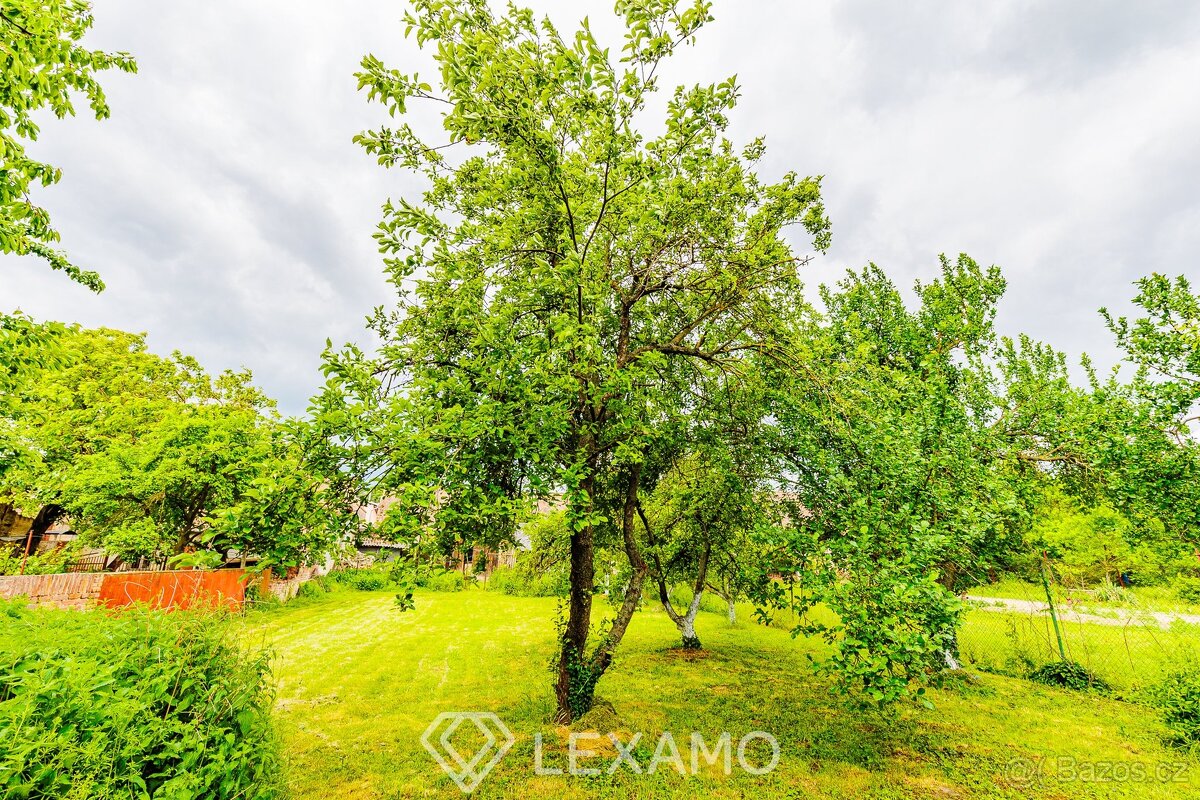 Prodej rodinného domu s pozemkem a stodolou: Únanov u Znojma - 13