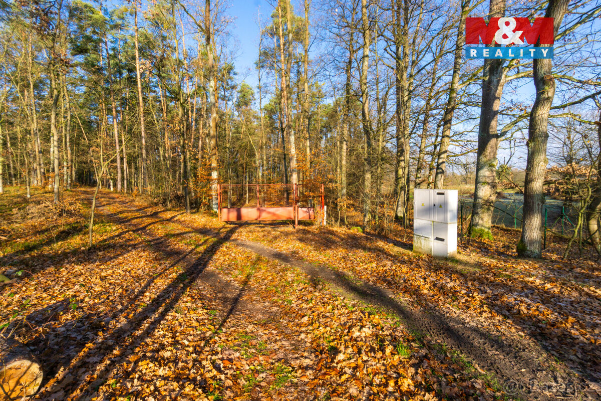 Prodej chaty, pozemek 12 745 m², Štěpánovsko - 13