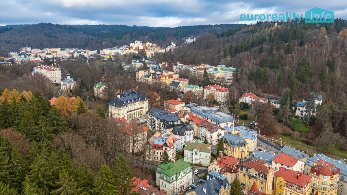 Prodej, byt 1+1, Mariánské Lázně, ul. Dykova - 13