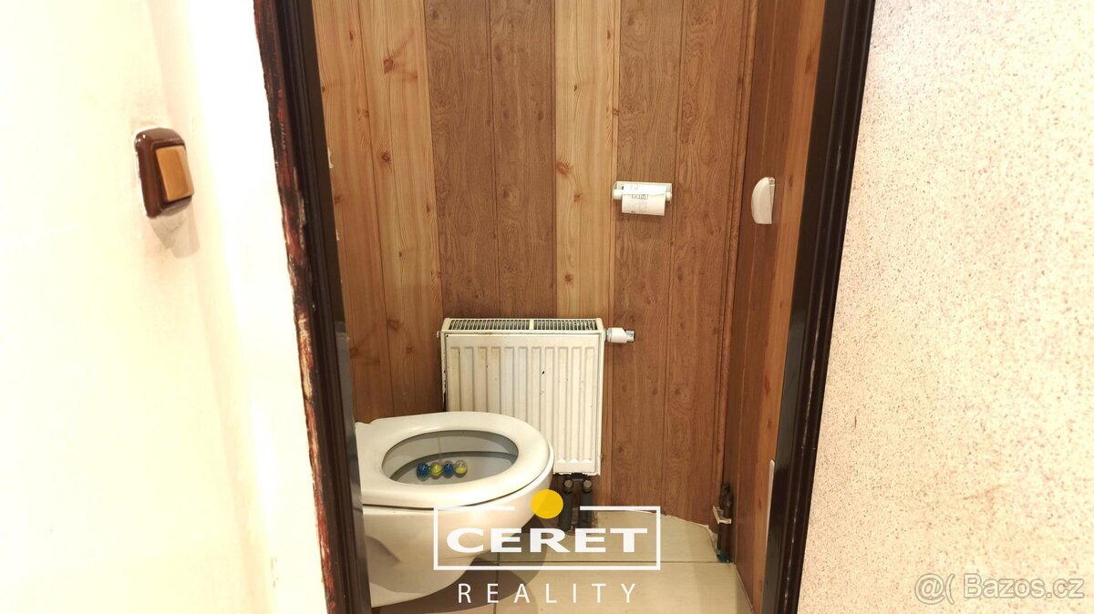 Prodej domu ve Strkovicích - 13