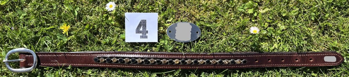 Kožený psí obojek bez připojení na vodítko, náhrdelník MIX - 13