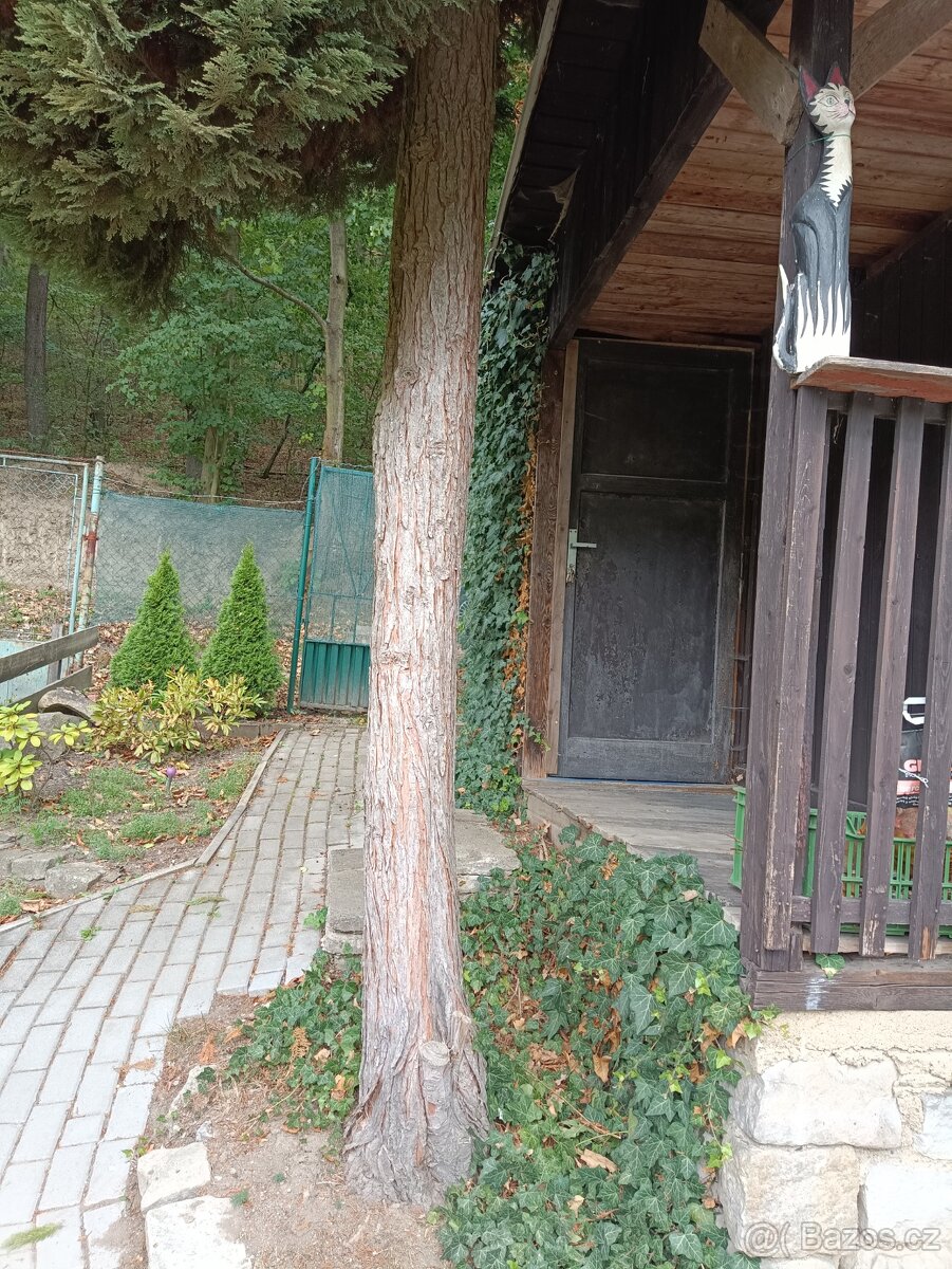 Zahrada, Bezručové údolí - 13