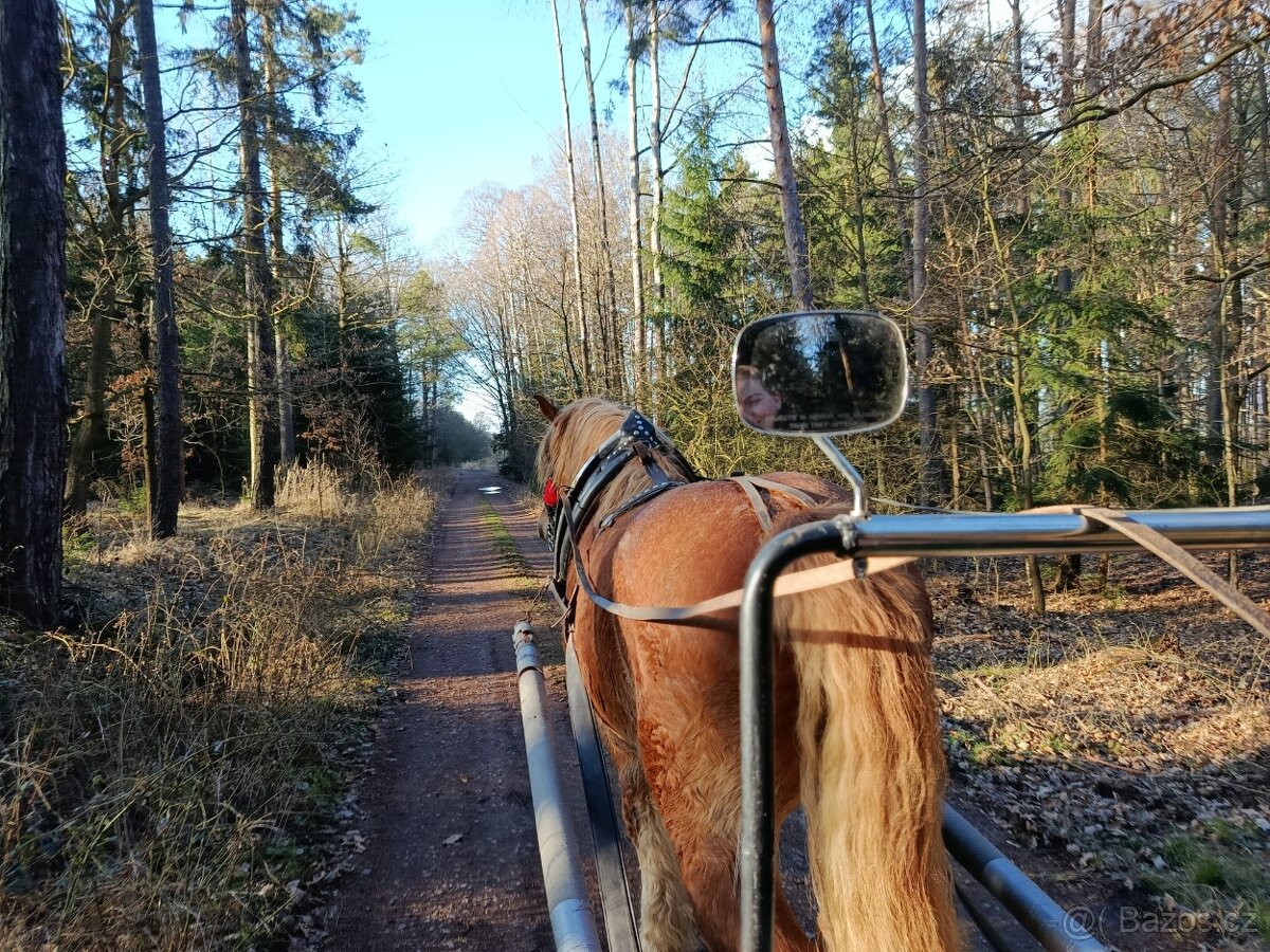 Sulka Originální pro lesy - 13