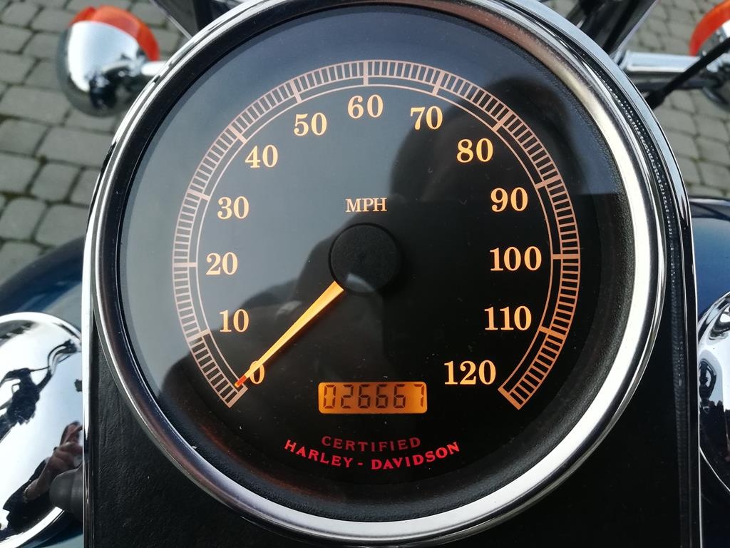 Harley-Davidson FXSTC model 1998 - 13