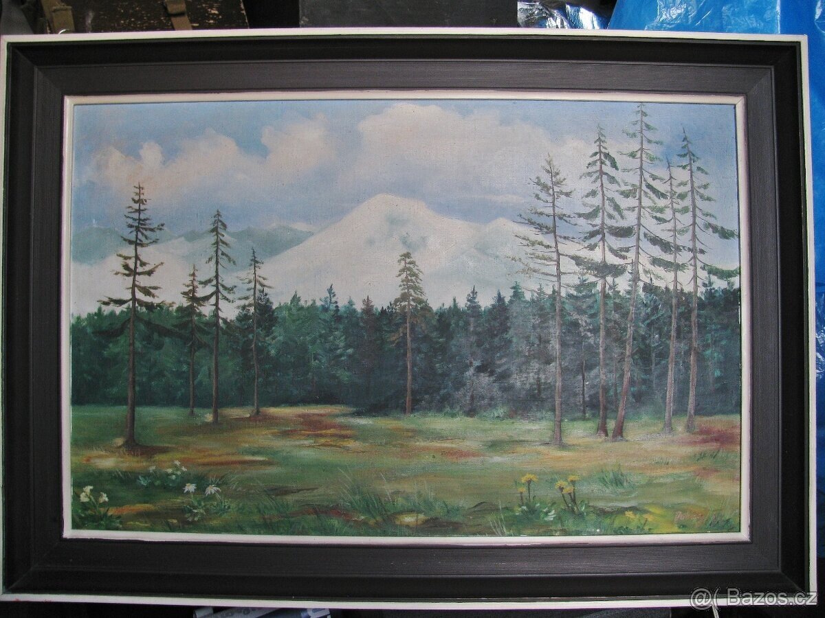 starý obraz, staré obrazy 2 - 13