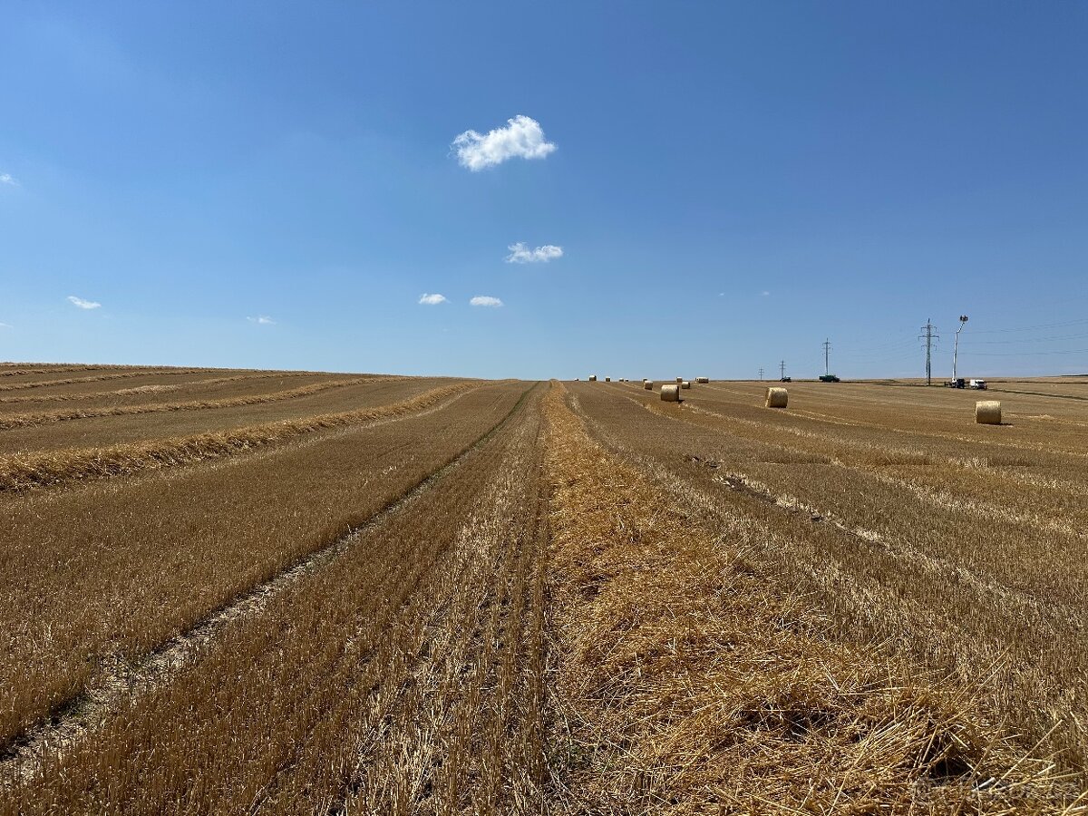 Pšeničná slama guľaté baliky - 13