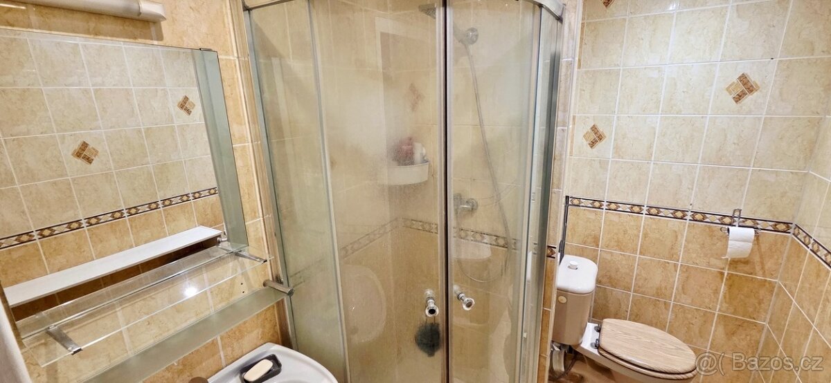 Pronájem 2+1 Na Valtické - 13