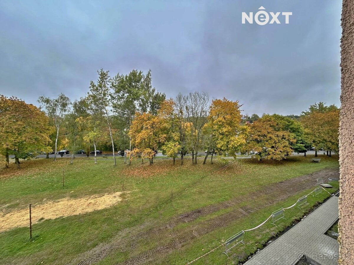 Pronájem byt 2+1, 60㎡ - 13