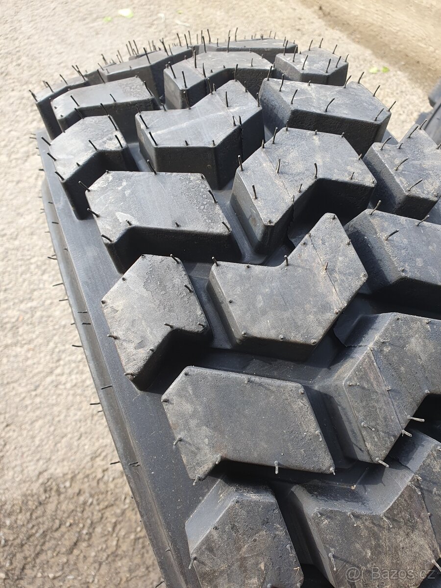 Kola UNC - Locust - 13