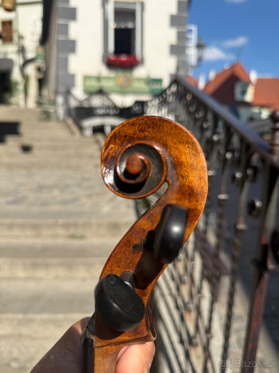 Prodám Violu - 13