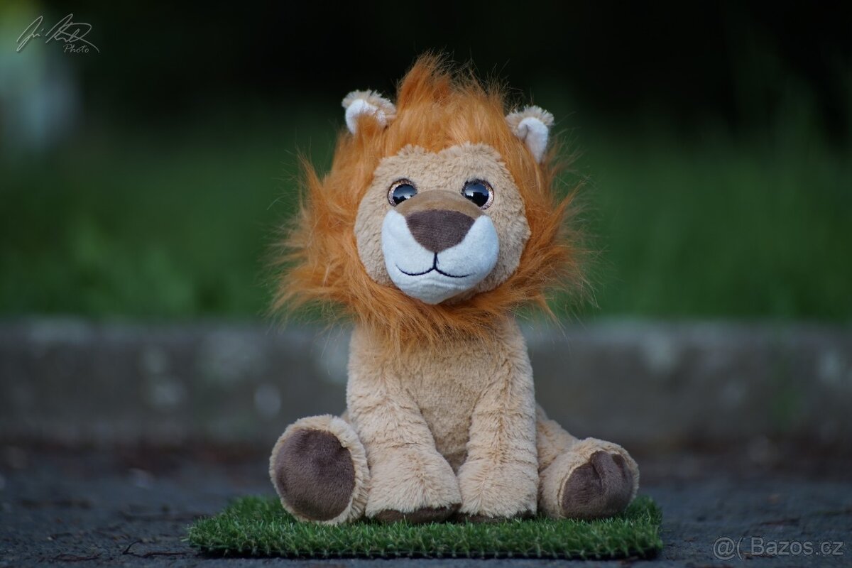 Objektiv Pentacon 135mm f2,8 MC M42 - 13