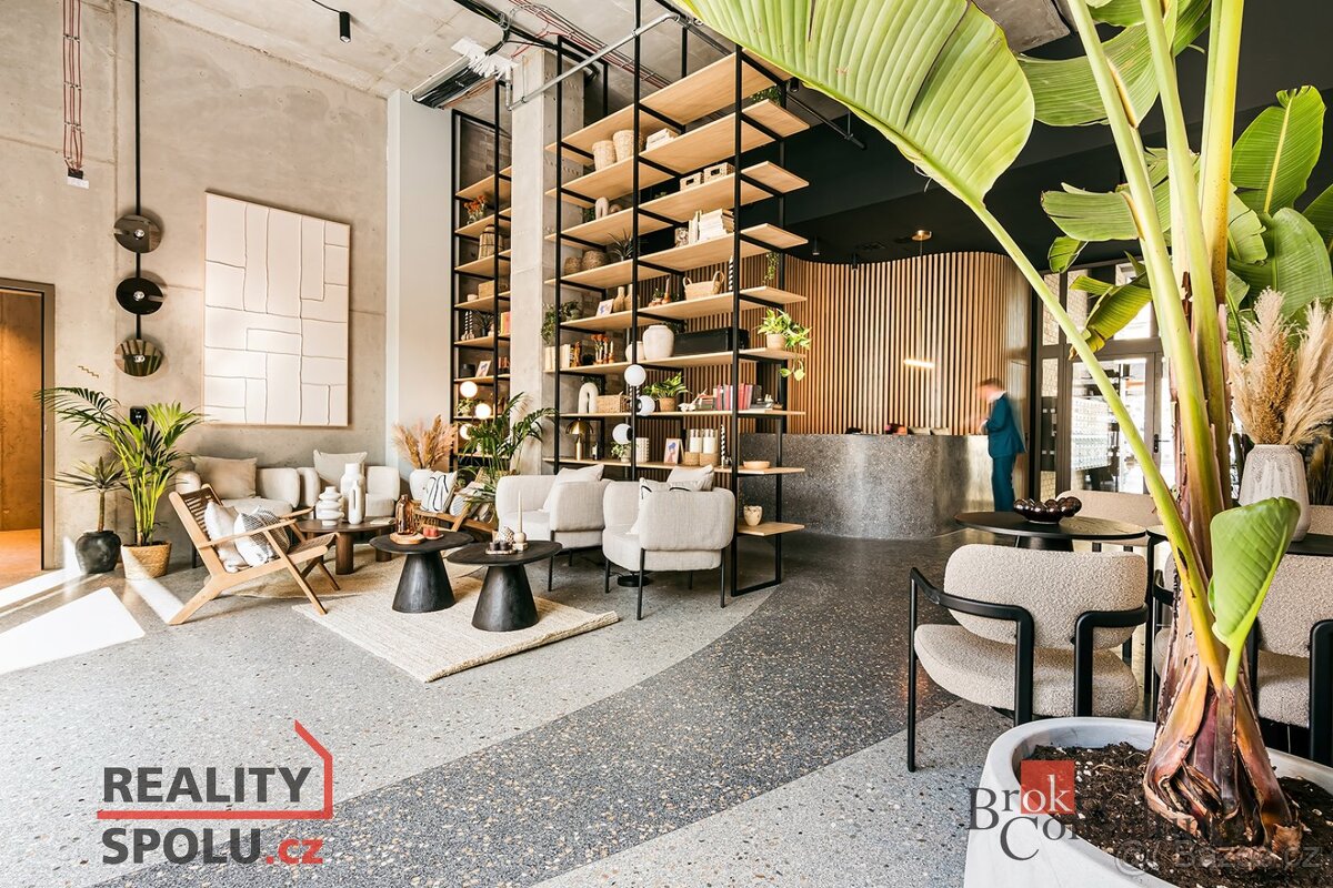 Pronájem, byty/1+kk, 30 m2, Bratislavská 946/82, 60200 Brno, - 13