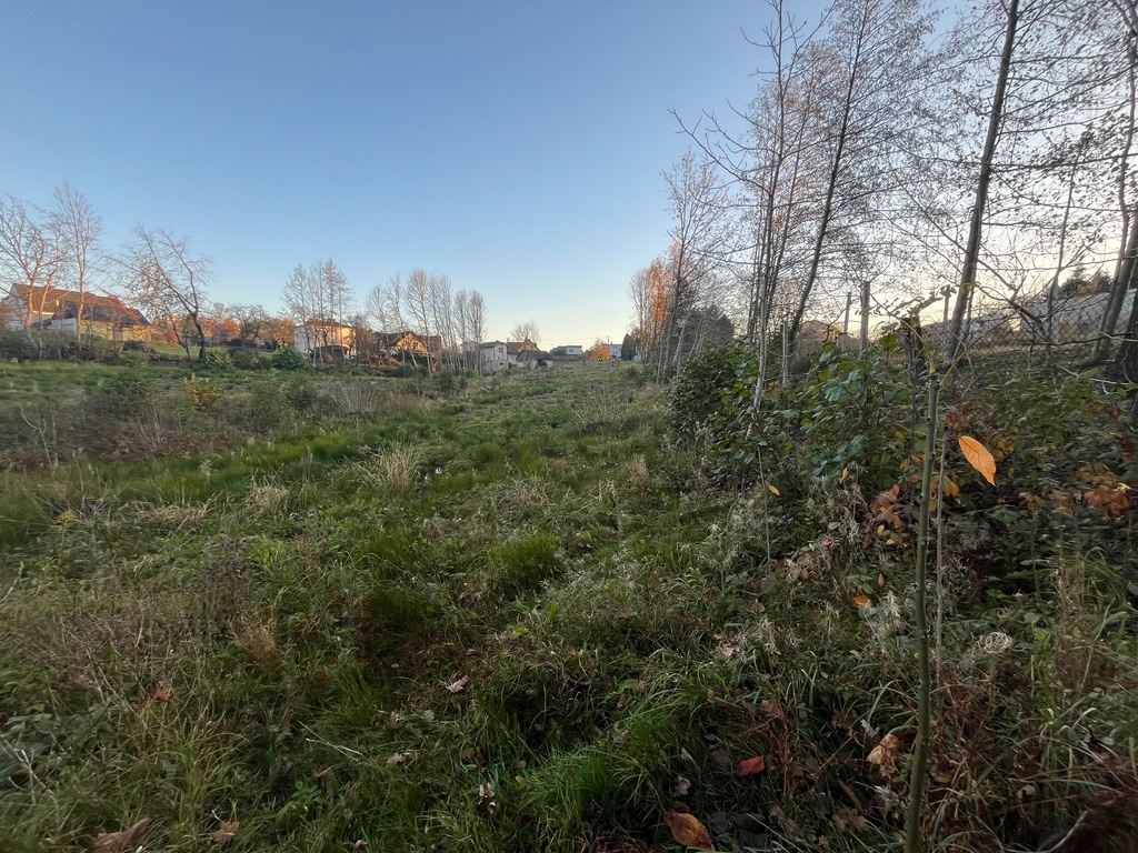 Prodej, pozemek 4200m2 - 13