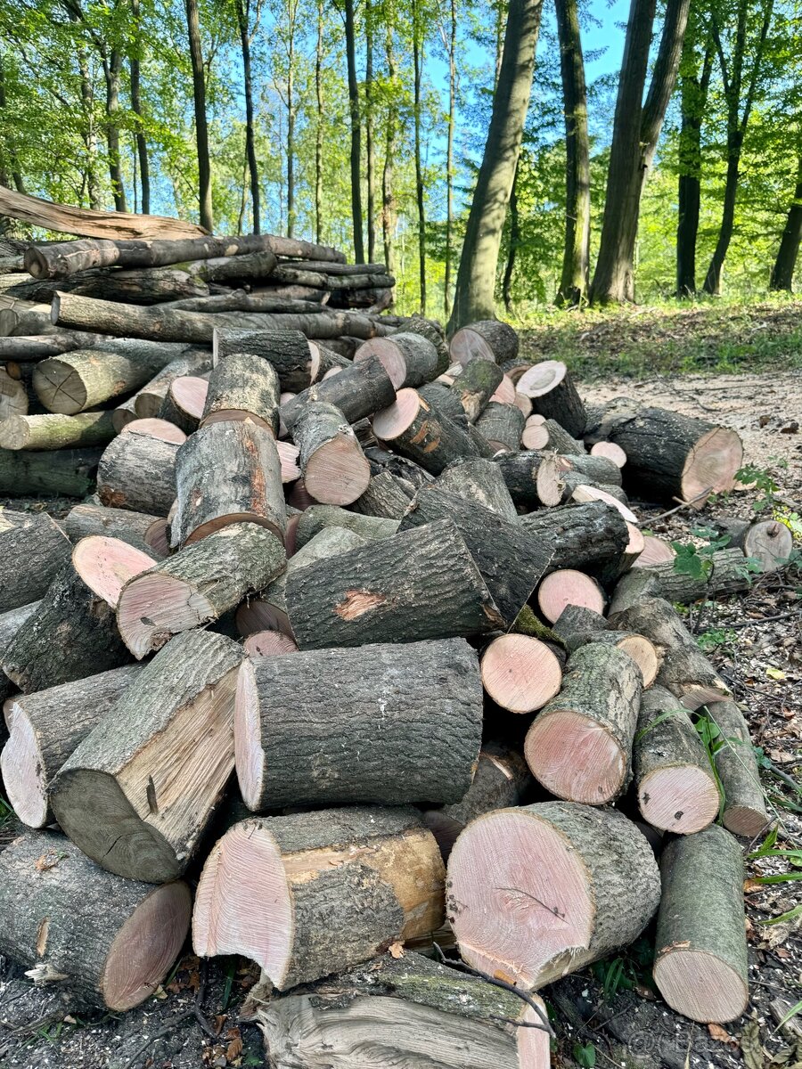 PRODEJ PALIVOVÉHO DŘEVA - 13