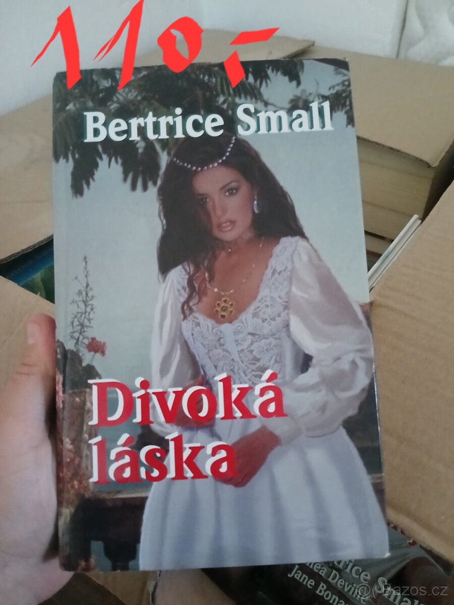 Bertrice Small - 13
