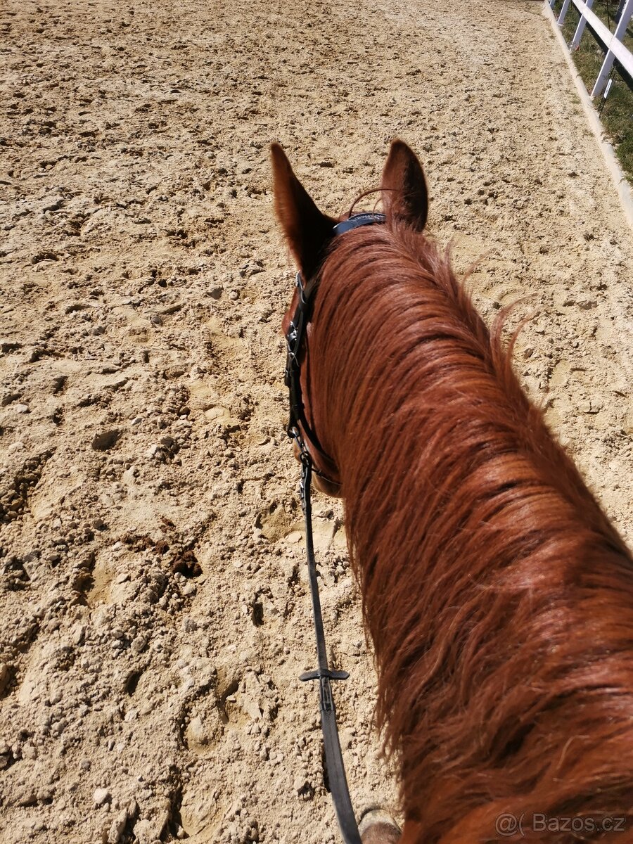 Anglická uzdečka Acavallo POESIA - 13