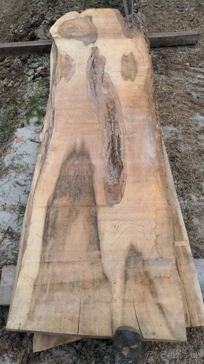 Suché Jilmové fošny - 13