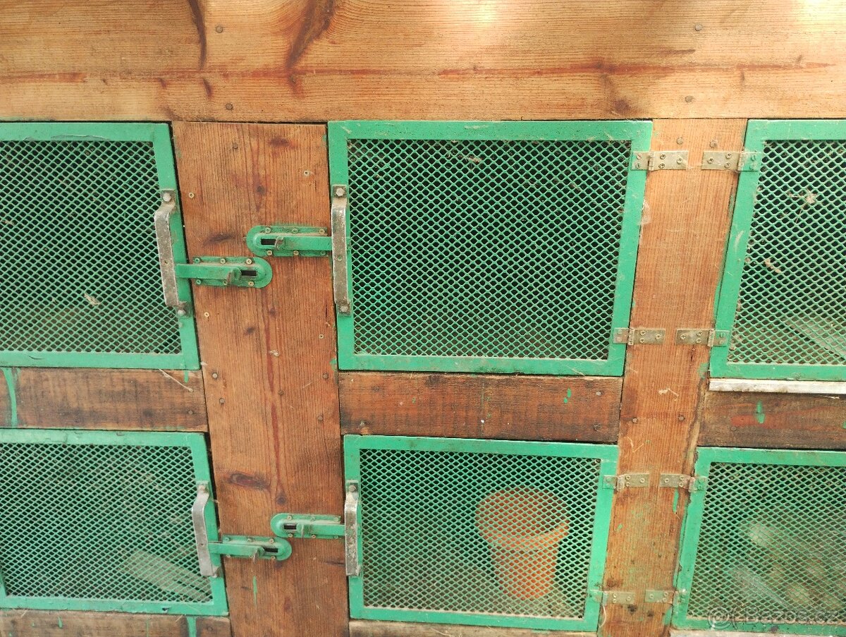 Kralikarna, kotce. - 13