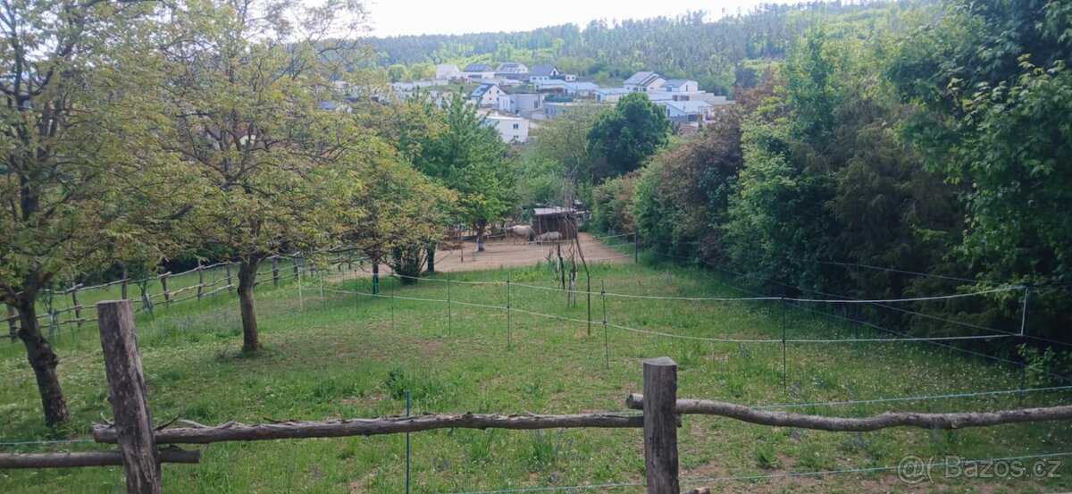 Nabídka ustájení 24/7 - 13