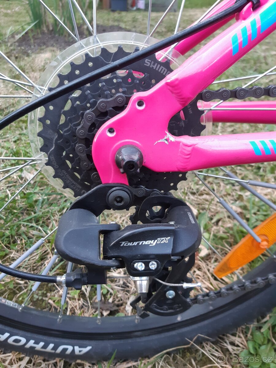 Author ULTIMA 24 - 13