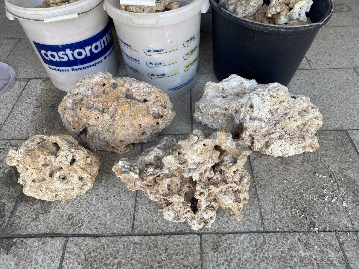 Mořské akvárium - 13