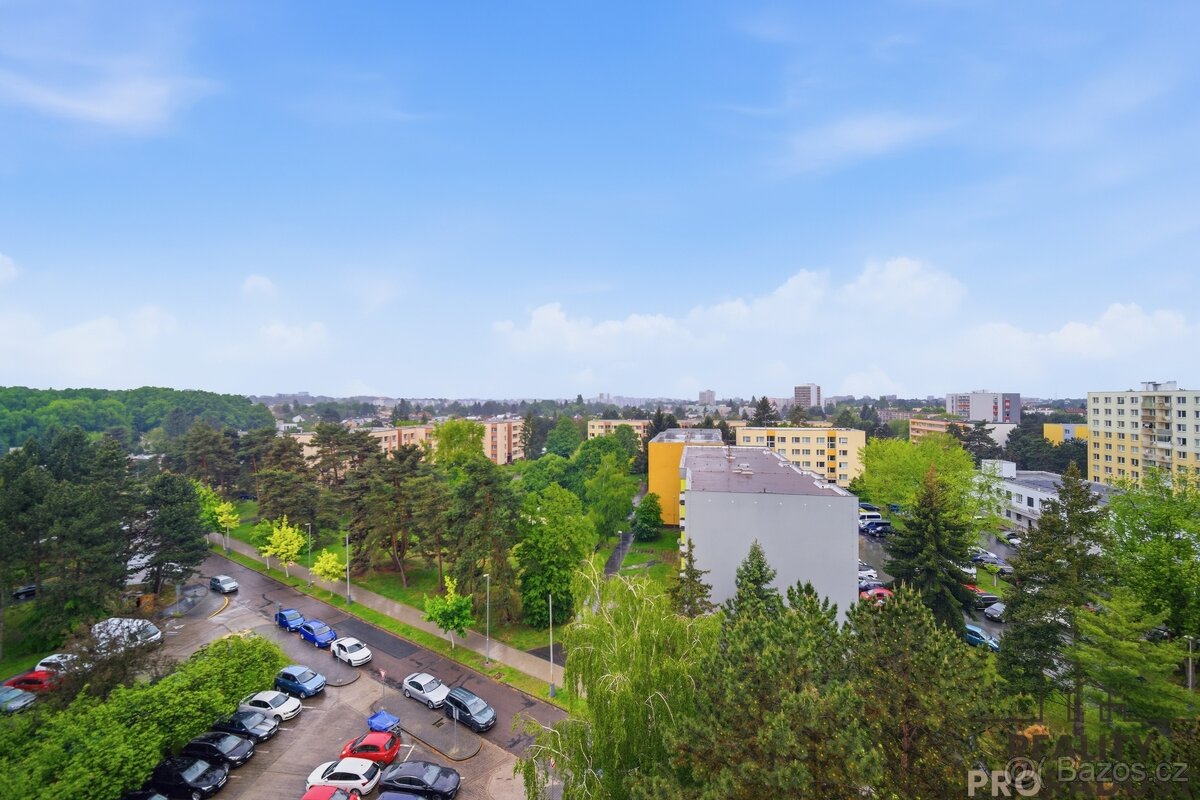Prodej bytu, 4+1, Pardubice - 13