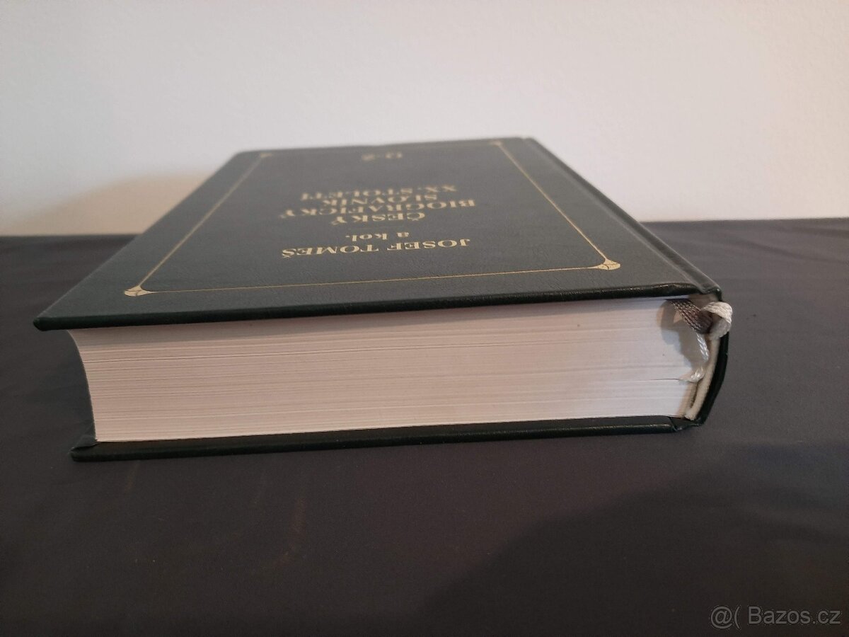 Český biografický slovník XX. století - 13