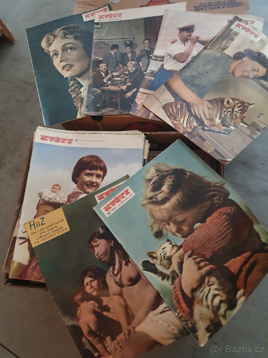 Rodokaps, Květy - 13