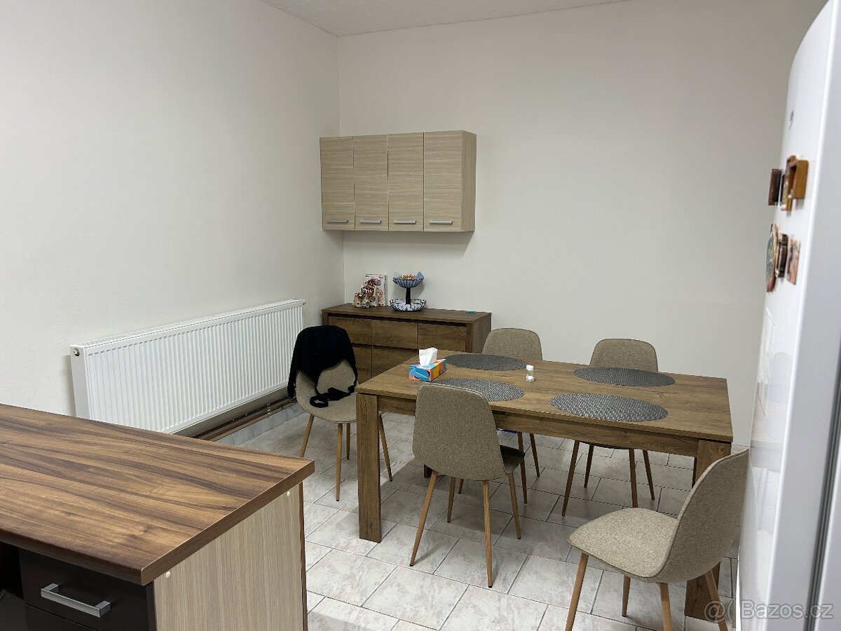 Pronajmu dlouhodobě obchodní prostory cc 550m2. Sklad,prodej - 13