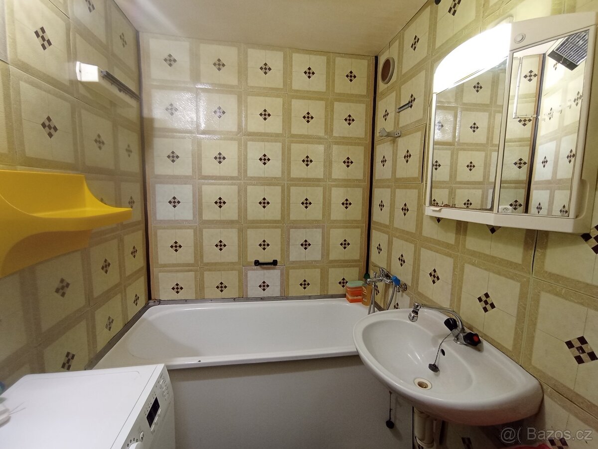 3+1 74m2 7NP Rybáře, Karlovy Vary - 13