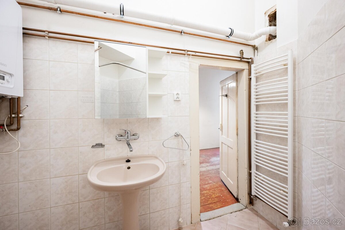 Příjemný byt 1+1 s výhledem do zeleného vnitrobloku | Bubene - 13